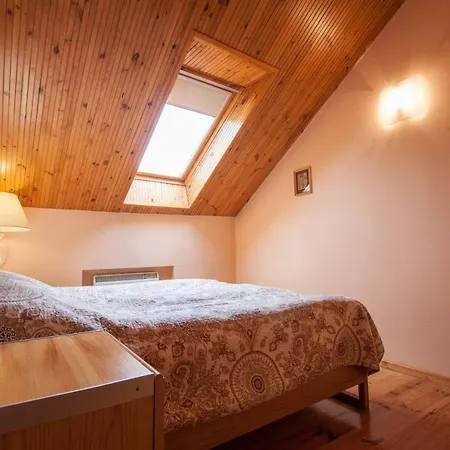 Apartment Vokieciu Vilnius